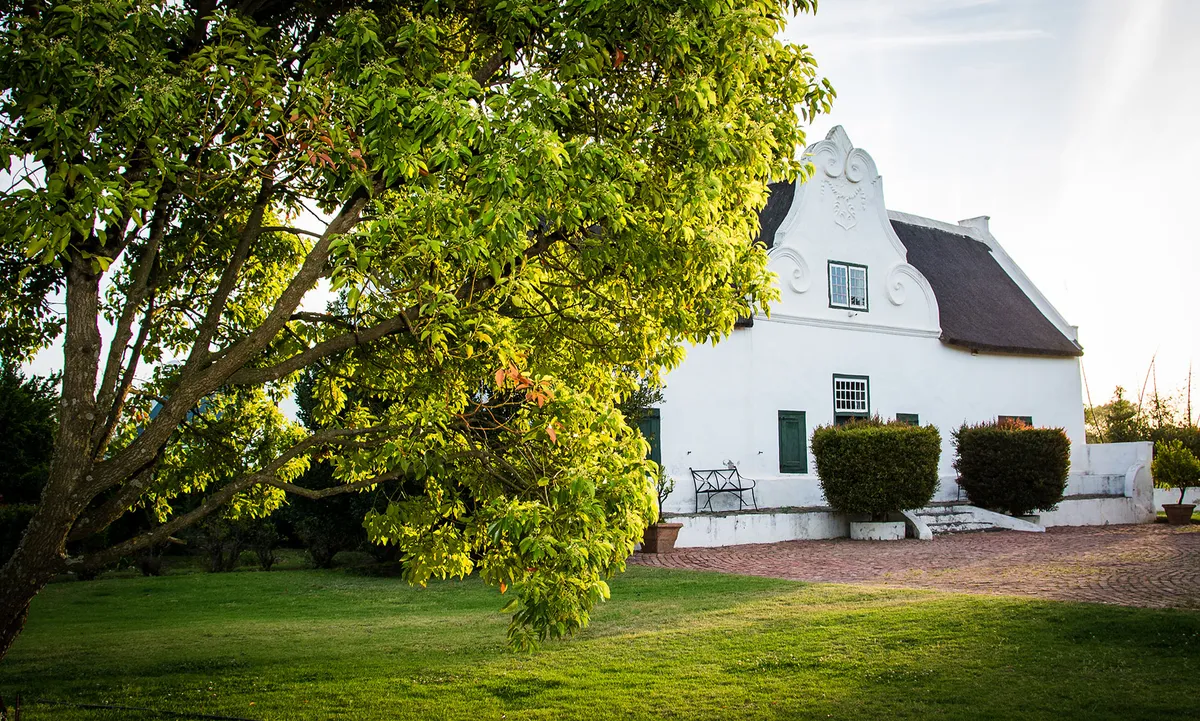 Whitewashed Cape Dutch gabled homestead with a thatched roof